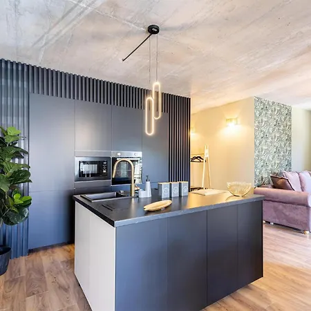 Apartment Amazing In With Kitchen *
